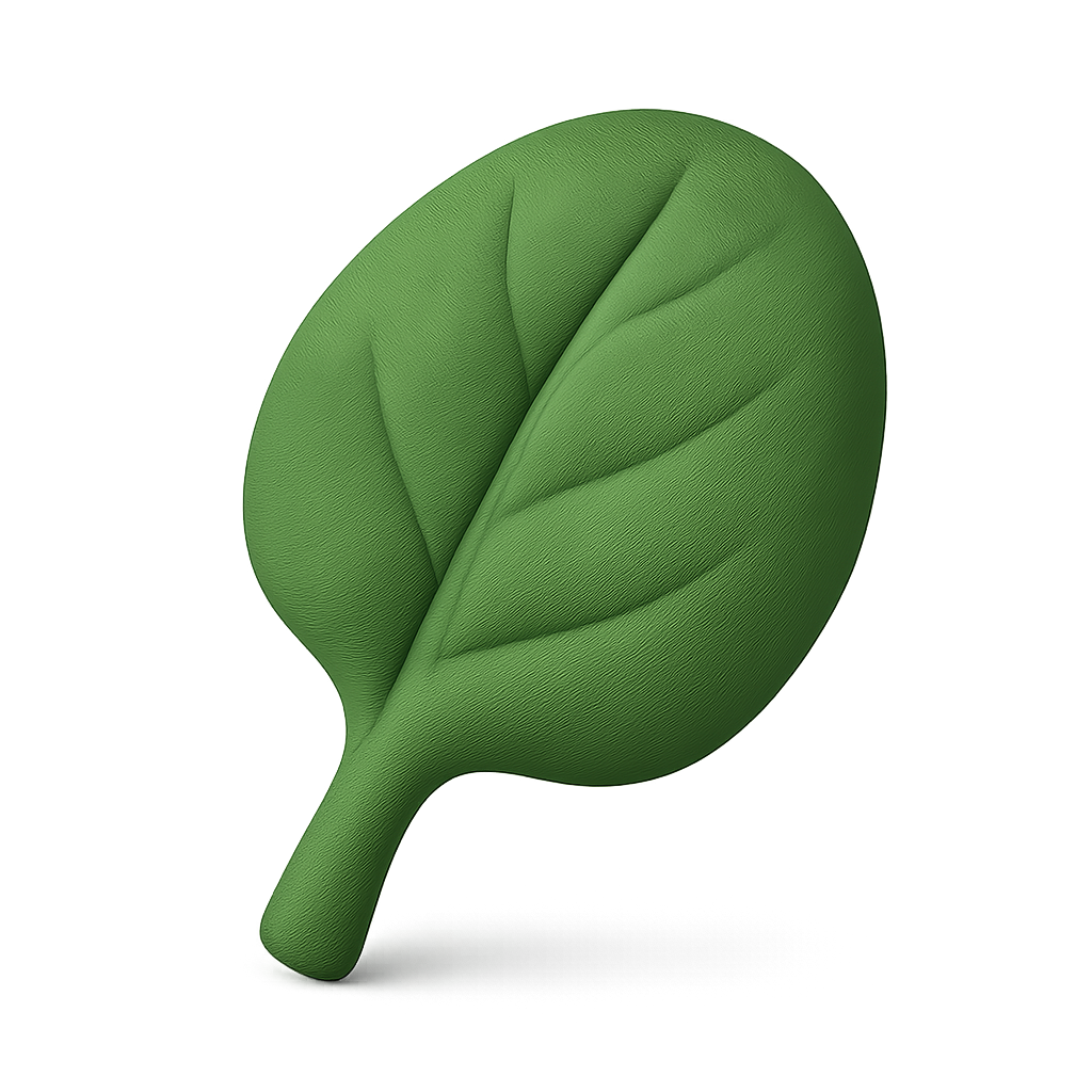 spinach leaf